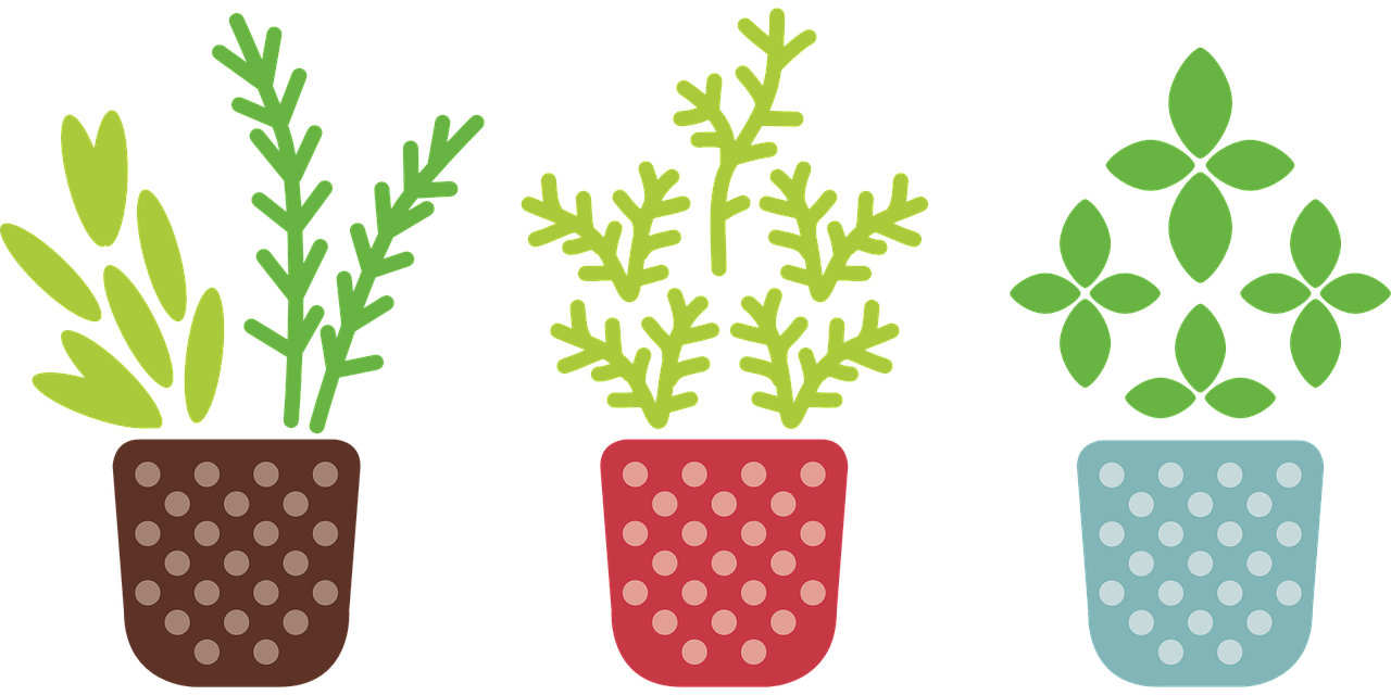 植物是怎么生长的小报︰(植物的生长过程电子报) 植物是怎么生长的小报︰(植物的生长过程电子报)