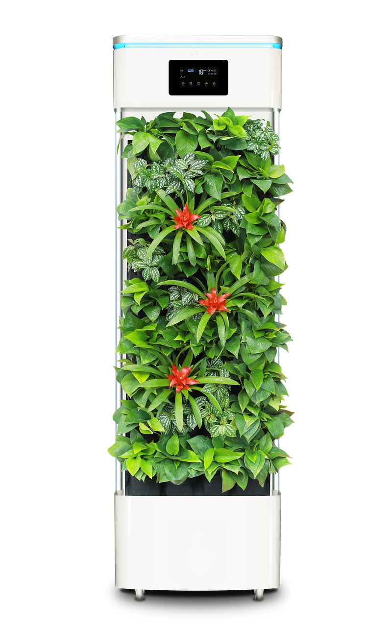 「空气净化植物排名前十」〃空气净化植物哪个好