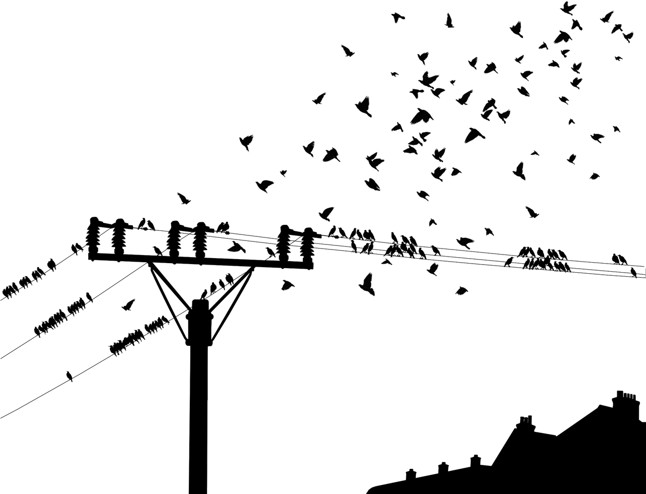 生物科学师范类考研方向-生物科学师范类考研方向及院校推荐