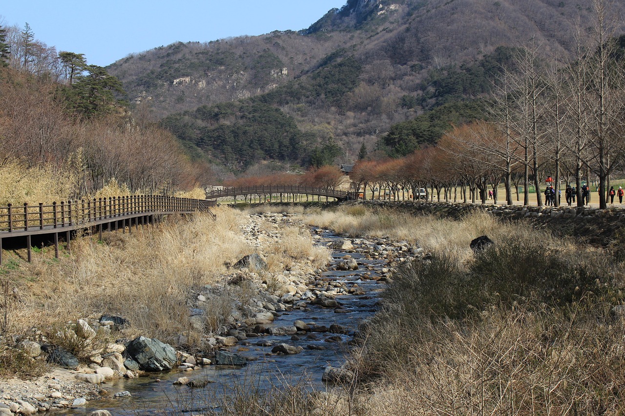 生态旅游景区规划及资源保护开发途径〃生态旅游规划与开发的原则 生态旅游景区规划及资源保护开发途径〃生态旅游规划与开发的原则