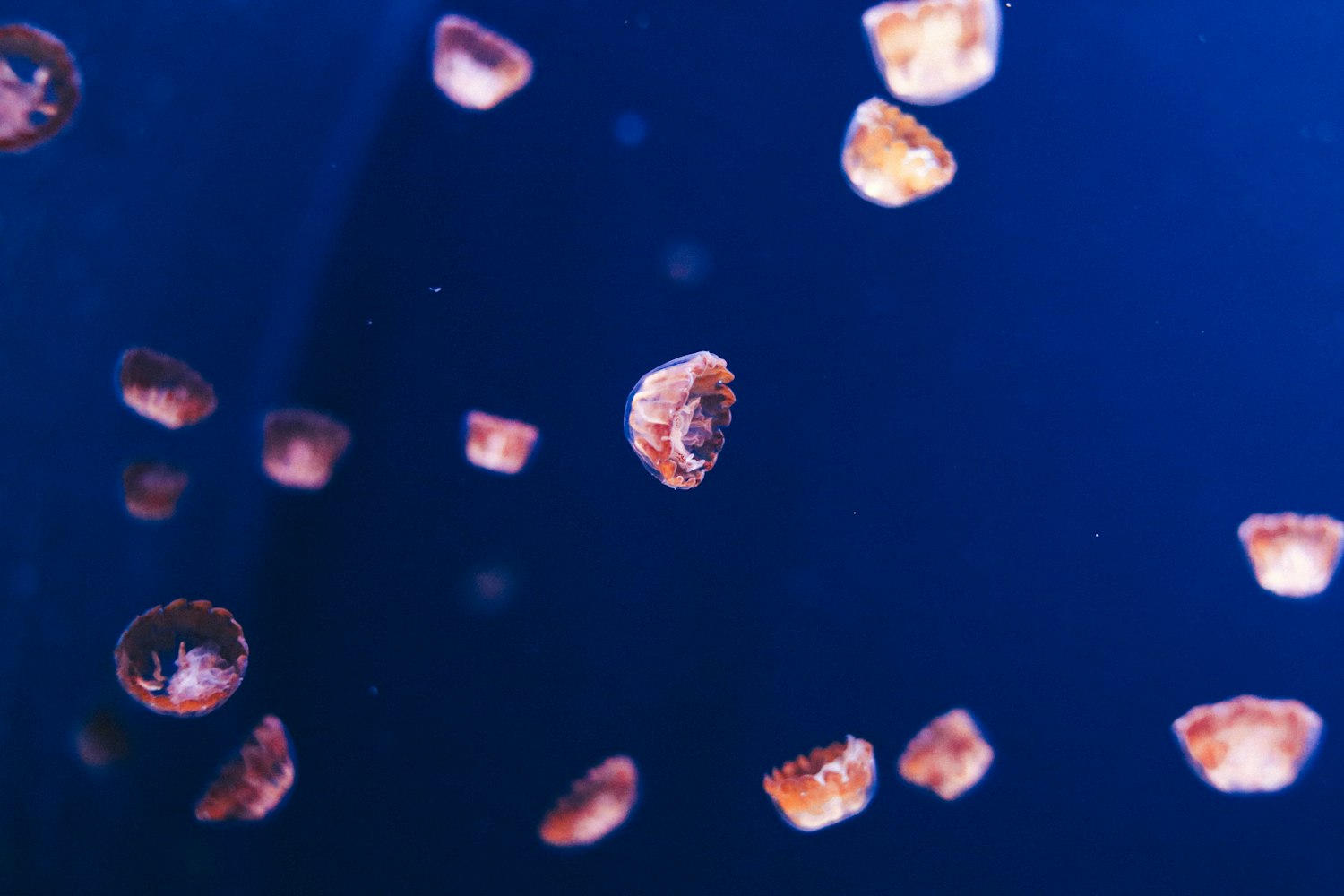 海洋的近义词〃海洋是意思相近的两个字吗