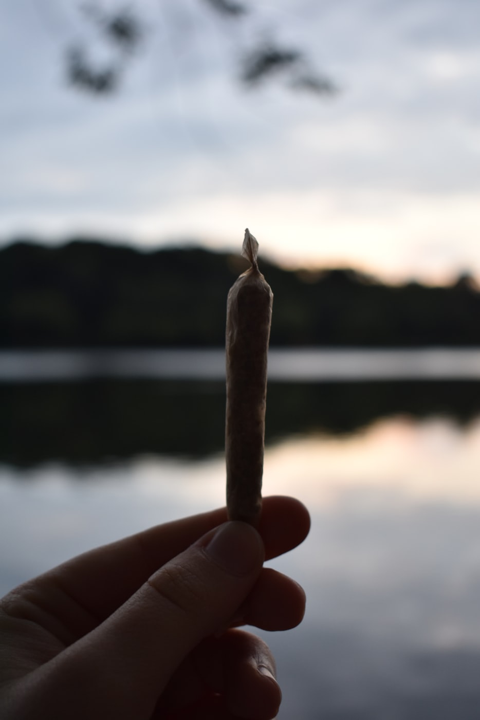 怎样用一句话形容一个人忽然出现在你的生活然后又马上离开〃形容一个人突然出现的句子