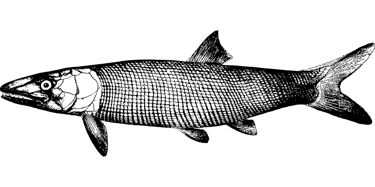 数量不足千只！面临灭绝危机的八种动物,那些灭绝的动物