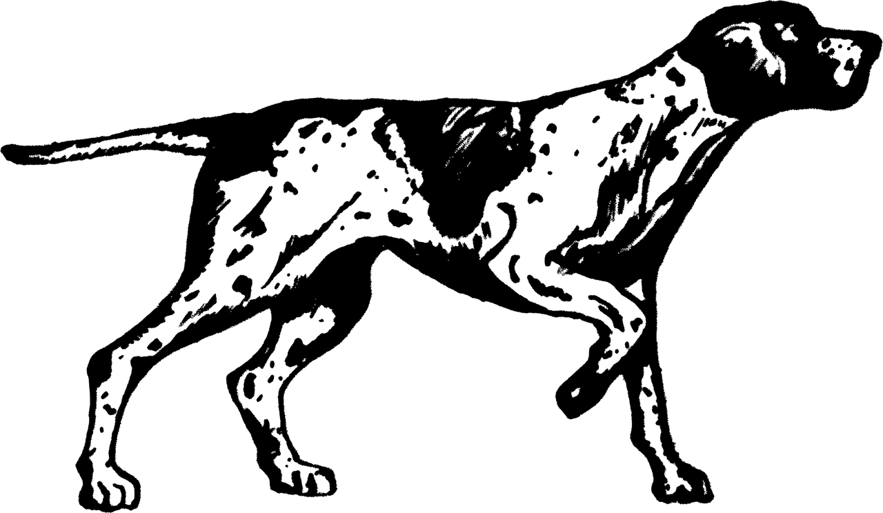 「狗咬裤脚是什么意思生物学学什么专业好」〃狗狗咬裤脚